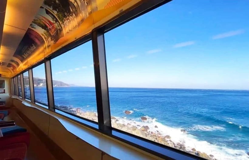 Tokyo: Izu Scenic Oceanview Train, Volcano, Coast Day Trip - Izu Cactus & Animal Park: Cute Animals, Real Greenhouse Time