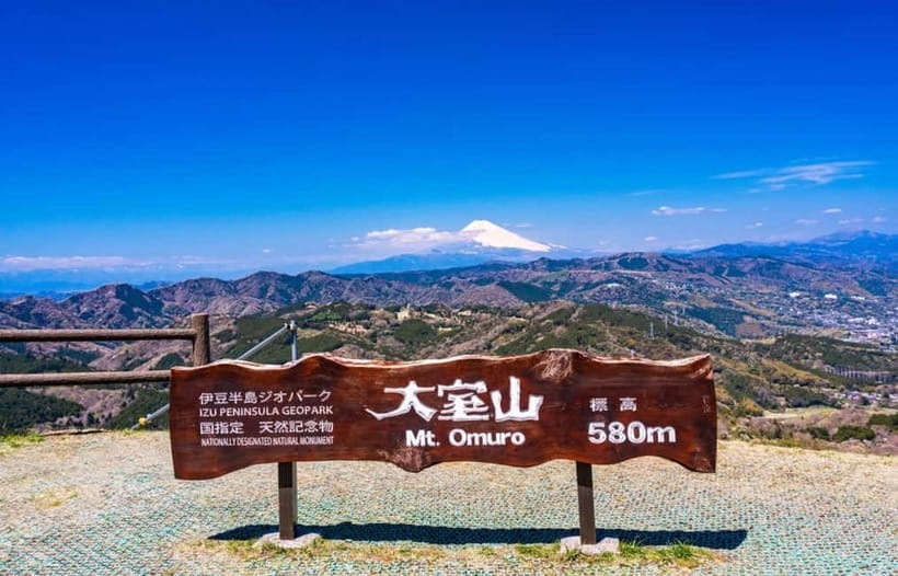 Tokyo: Izu Scenic Oceanview Train, Volcano, Coast Day Trip - Should You Book This Tokyo to Izu Coast Tour?