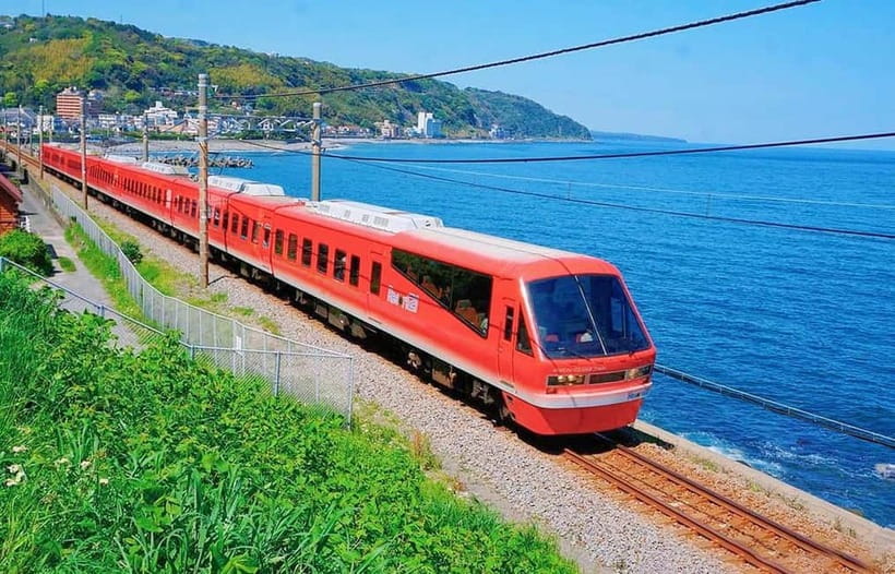 Tokyo: Izu Scenic Oceanview Train, Volcano, Coast Day Trip - Omuroyama Extinct Volcano: The View Is the Whole Point