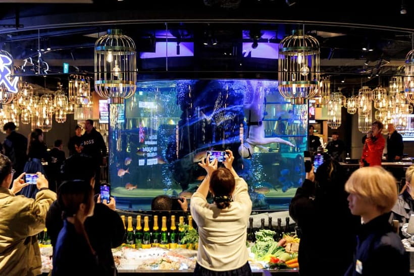 Tokyo: Japanese Experiece Dinner with Diving Ama Performance - Key Ama Diver Dinner Highlights at AMAJOH