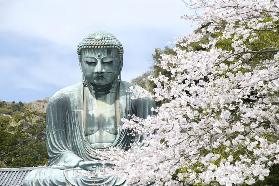 Tokyo: Kamakura & Enoshima Day Tour with Pickup & Train Ride - Komachi Street Snacks, Shopping, and What to Prioritize