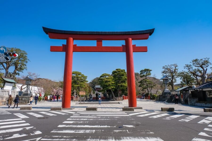 Tokyo: Kamakura & Enoshima Day Trip including Temple Tickets - Guide quality is a big part of the value, not just the sites