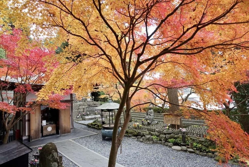 Tokyo: Kamakura & Enoshima Day Trip including Temple Tickets - Kamakura and Enoshima, why this day trip works from Tokyo