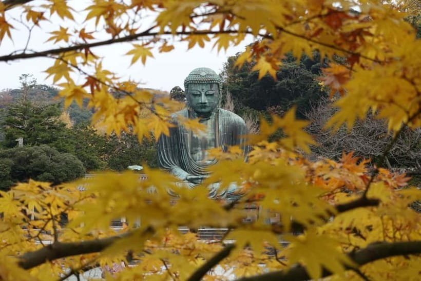 Tokyo: Kamakura & Enoshima Day Trip including Temple Tickets - Kōtoku-in and the Great Buddha, plus what it feels like inside