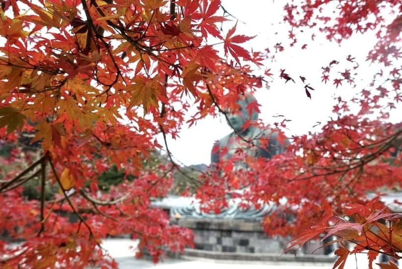 Tokyo: Kamakura & Enoshima Day Trip including Temple Tickets - Iwaya Caves and Benzaiten Street, walkable fun with snack-friendly timing