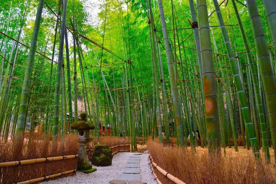 Tokyo: Kamakura Private Tour With Guide - Hase-dera: temple views plus a longer sightseeing block