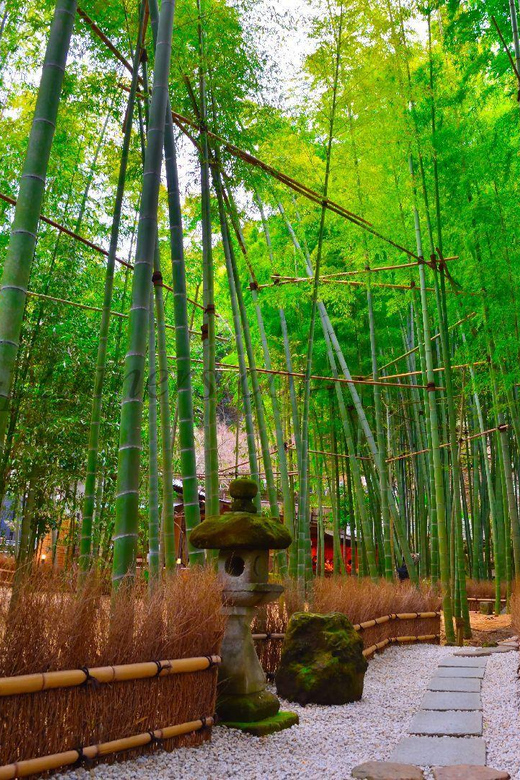 Tokyo: Kamakura Private Tour With Guide - Price and value for a private group of up to 5