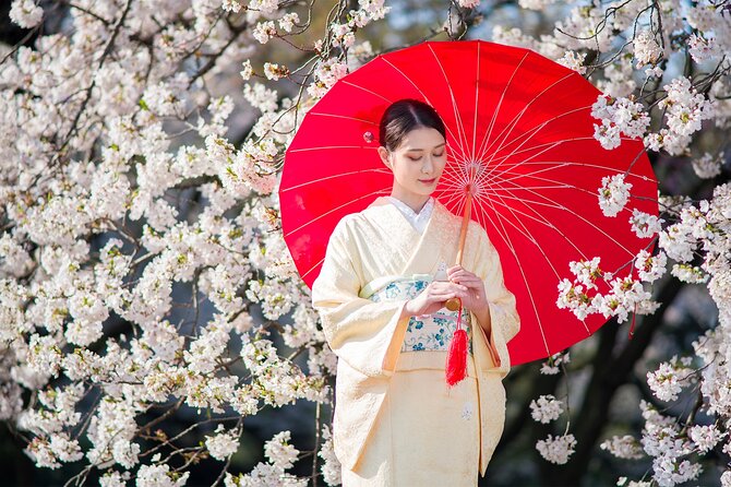 Tokyo: Kimono Experience inside Shinjuku Gyoen National Garden - Who Should Book This Shinjuku Gyoen Kimono Experience