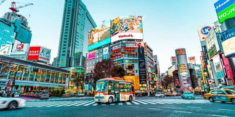 Tokyo:Luxury Private Tour with English-Speaking driver - Why this private Tokyo route feels less exhausting