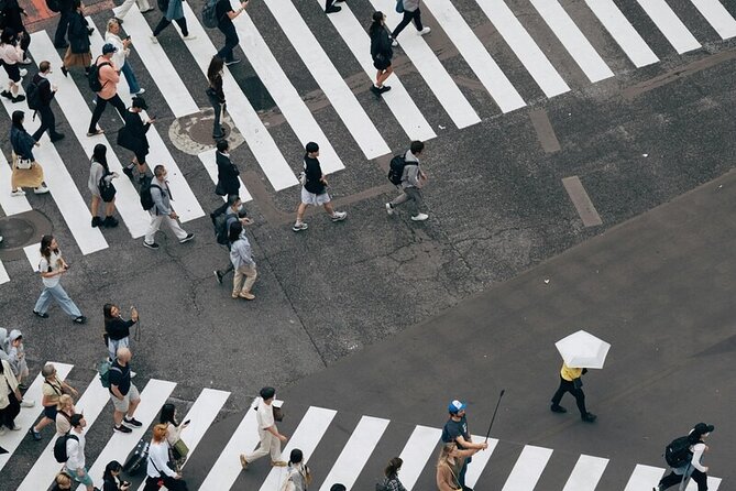 Tokyo Made Easy | Private Chauffeur Day Adventure | Car and Guide - Tsukiji Fish Market: Food Culture Starts the Day