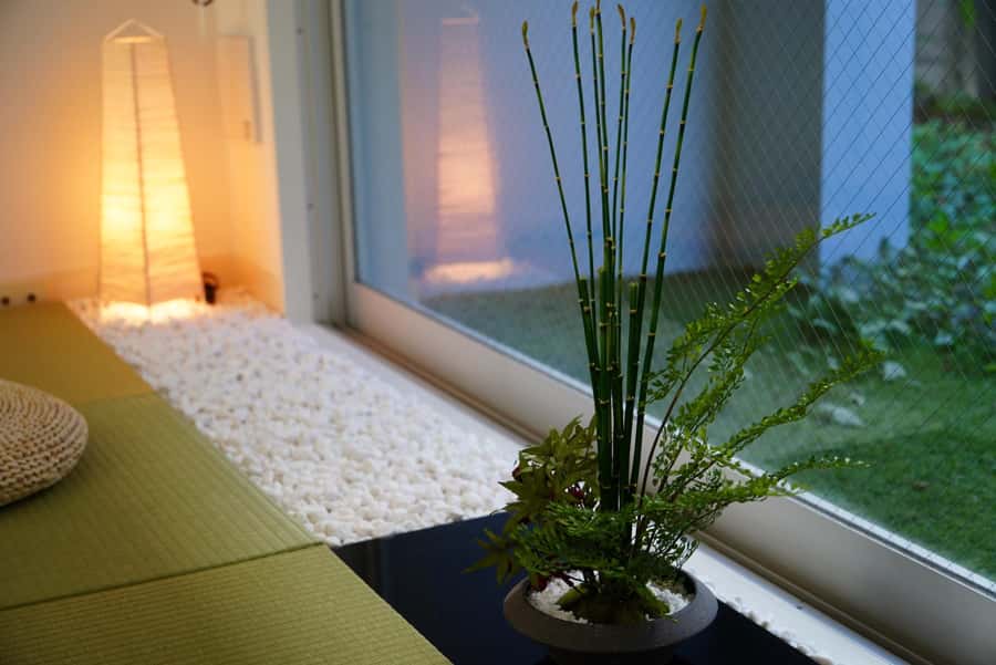 Tokyo: Matcha and Kimono Experience - What You Get for $57 Near Shinjuku, and Who Should Book
