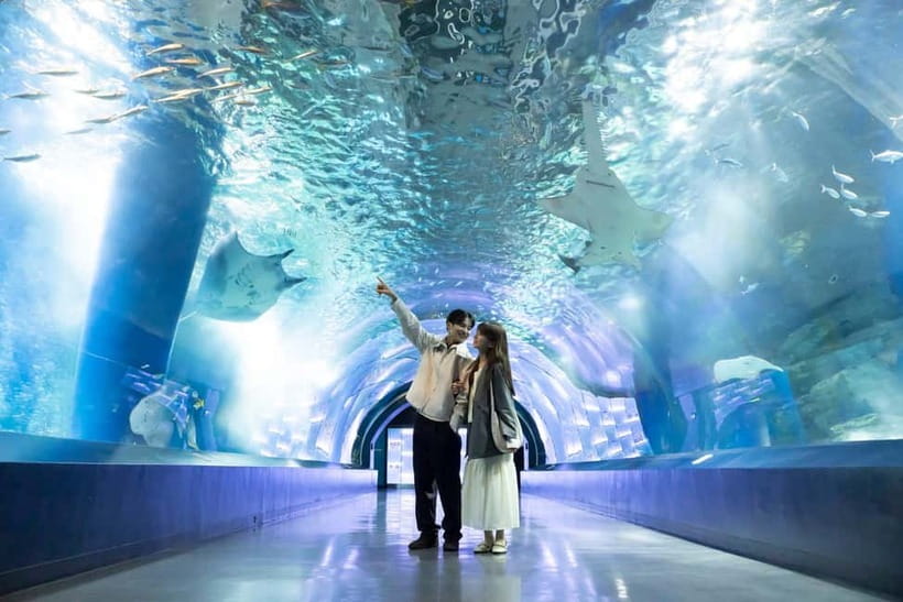 Tokyo: Maxell Aqua Park Shinagawa Direct Entry Ticket - Maxell Aqua Park’s Tokyo entertainment style: what you’re really buying
