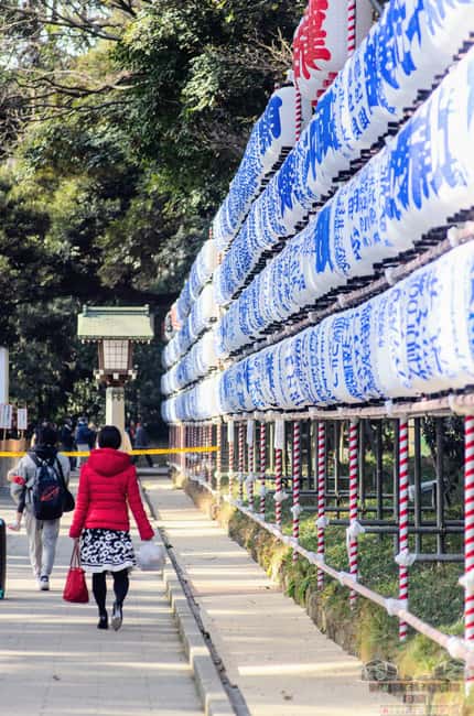 Tokyo: Meiji Jingu, Harajuku, Shibuya, and Shijuku Tour - Meiji Jingu Rituals in a City Forest