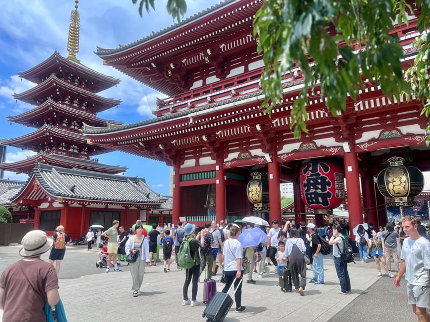Tokyo: Meiji Jingu Shrine and Shinto Culture Walking Tour - Key points that make this Meiji Jingu tour worth your $19