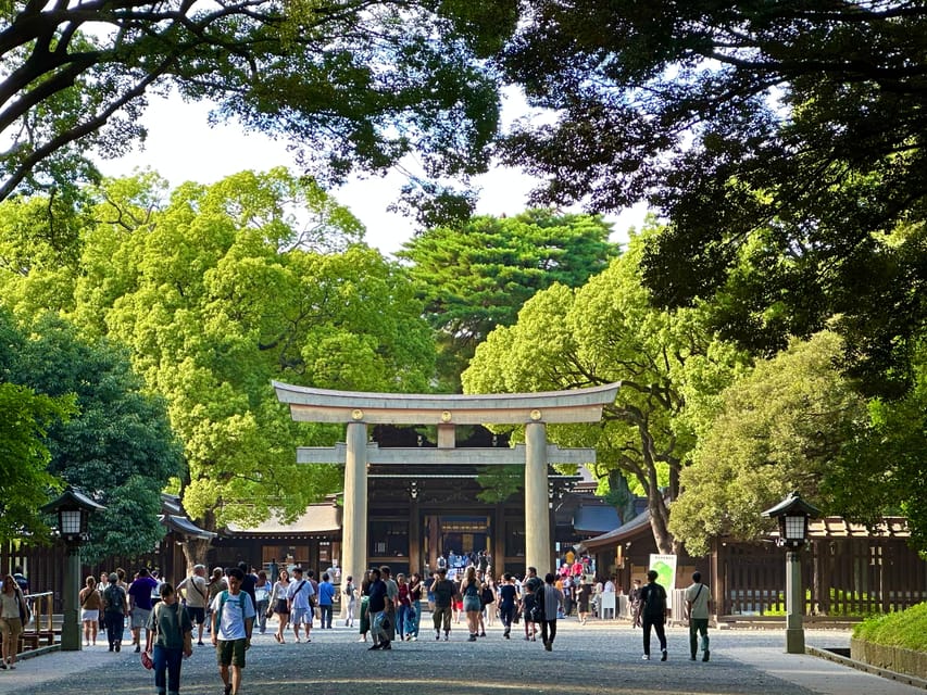 Tokyo: Meiji Jingu Shrine and Shinto Culture Walking Tour - Consecrated sake barrels and wine barrels: the details most people miss