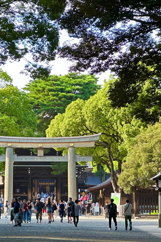 Tokyo: Meiji Jingu Shrine and Shinto Culture Walking Tour - How the photos work, and how to make sure you actually get good ones