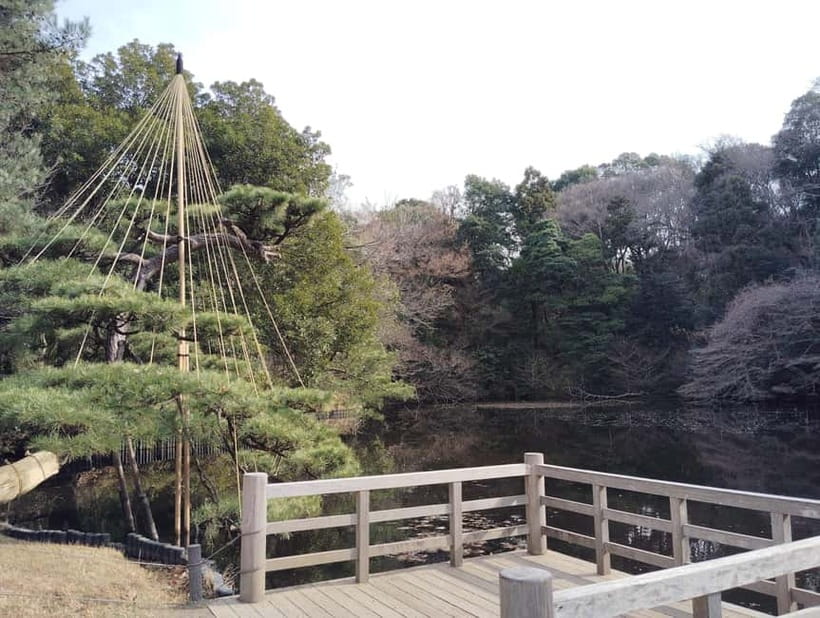 Tokyo: Meiji Jingu Shrine & Inner Garden Guided Tour (2h) - Omikuji fortune-telling, plus a protective charm option