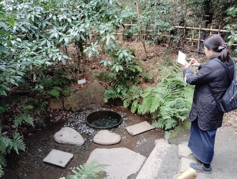 Tokyo: Meiji Jingu Shrine & Inner Garden Guided Tour (2h) - Who this tour suits best