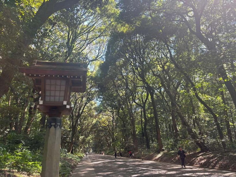 Tokyo: Meiji Jingu, Yoyogi Park & Takeshita Street Tour - Meeting at JR Harajuku Station West Exit, then letting your guide steer
