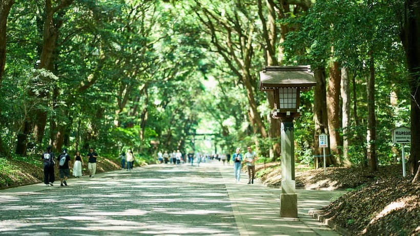 Tokyo: Meiji Shrine Walking Tour — Shinto & Imperial System - Why Meiji Jingu Feels Like a Reset Button