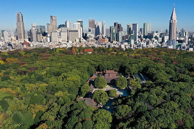 Tokyo: Meiji Shrine Walking Tour — Shintoism & Imperial System - Harajuku Station start, then right into the trees