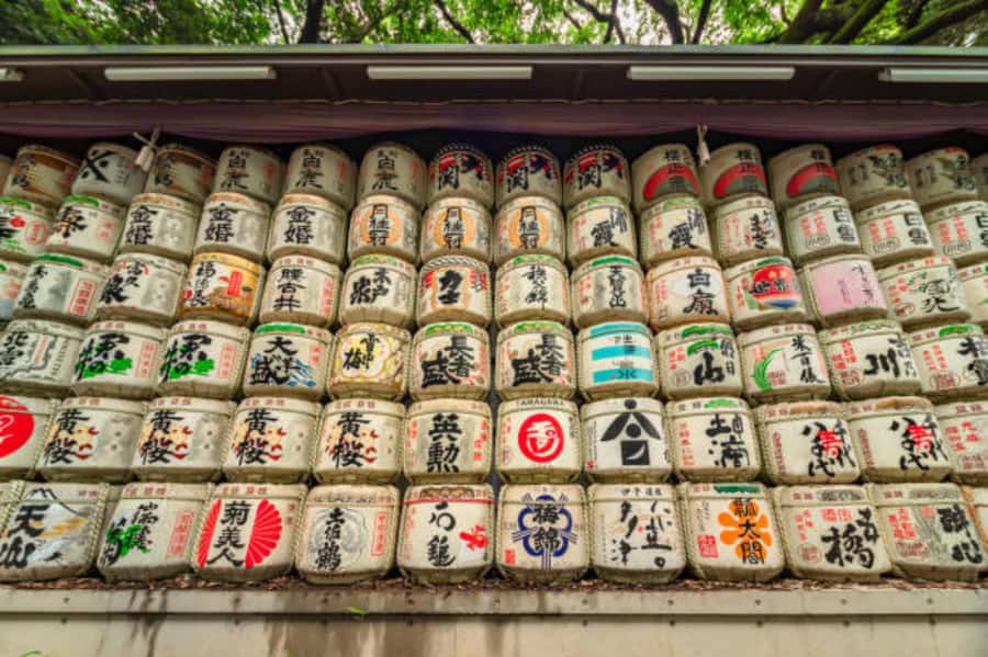 Tokyo: Meiji Shrine Walking Tour with Local Guide - Key points you will care about