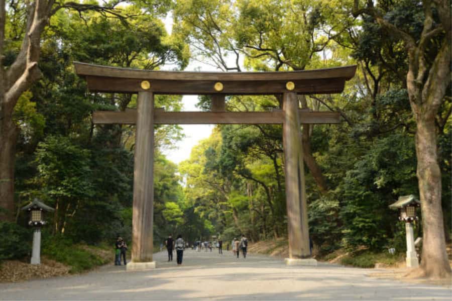 Tokyo: Meiji Shrine Walking Tour with Local Guide - Turtle Stone and Sazare Stone, Details You Only Notice With a Guide