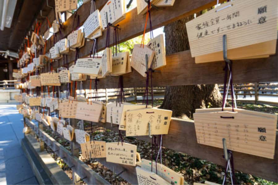 Tokyo: Meiji Shrine Walking Tour with Local Guide - How the Sacred Forest Shapes Your Visit (Not Just Your Photos)
