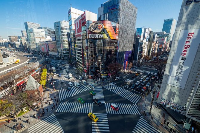 Tokyo Metropolis - Group Size, Guides, and the Real Value of “Instruction”