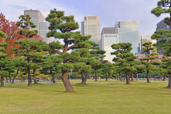 Tokyo Morning Small Group Tour - Imperial Palace Outer Gardens: calm, green, and quietly impressive