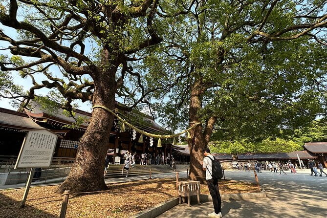 Tokyo Morning Tour : Meiji Shrine, Asakusa and Fish Market - Price and logistics: what $72.67 buys you, and what costs extra