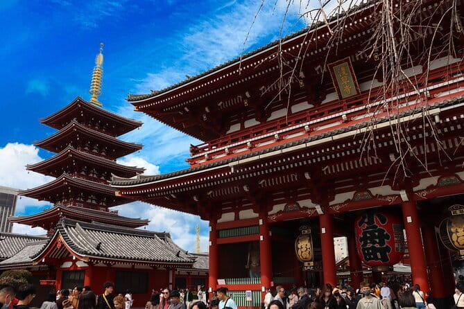 Tokyo Morning Tour : Meiji Shrine, Asakusa and Fish Market - What this tour is best for, and who should skip it