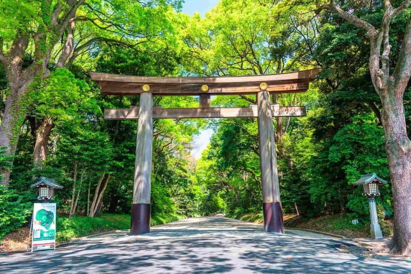 Tokyo Morning Tour: Meiji Shrine, Asakusa & Fish Market - Meiji Jingu Shrine: Shinto calm, plus a spiritual story you can actually follow