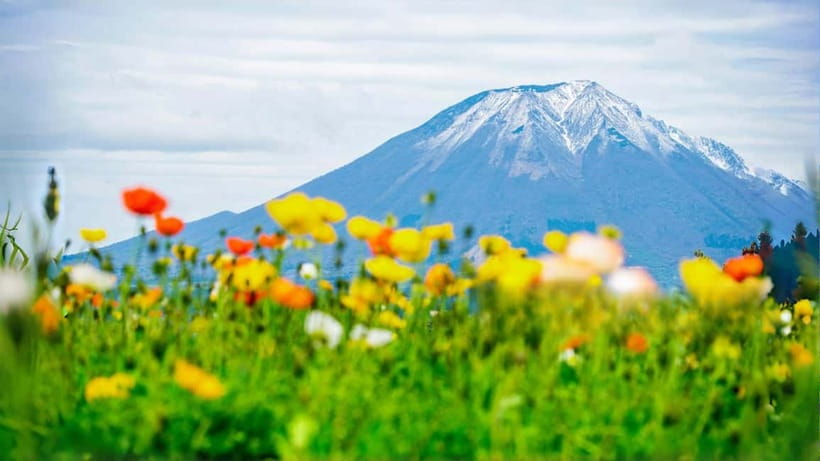 Tokyo: Mount Fuji 5th Station & Onsen Day Trip - The Big Idea: A One-Day Fuji Fix from Tokyo