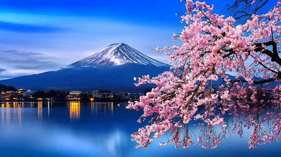 Tokyo: Mount Fuji and Hakone private sightseeing tour - Arakurayama Sengen Park: the Fuji view that sets the tone