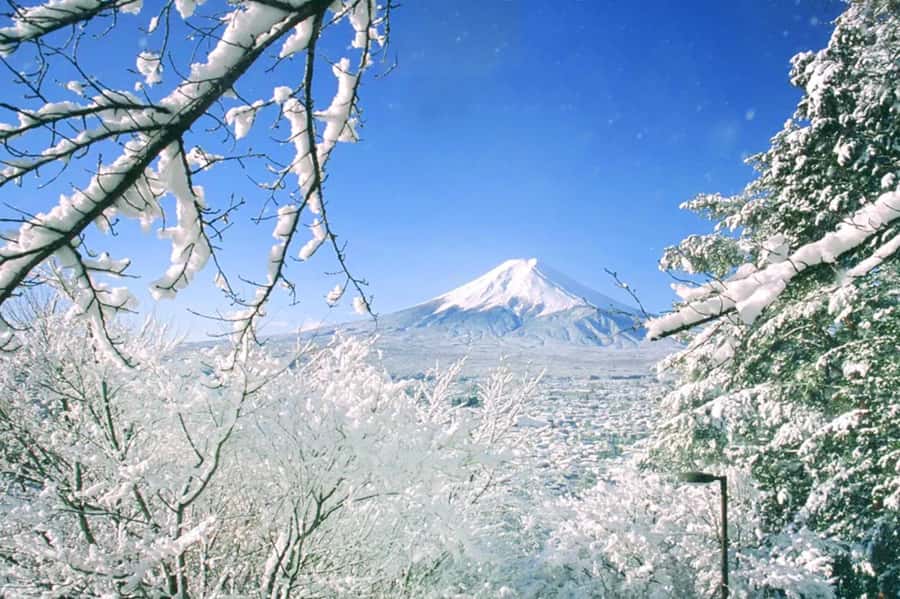Tokyo: Mount Fuji Day Trip with Scenic & Local Stops - Tokyo to Mount Fuji in one day: what makes this tour work