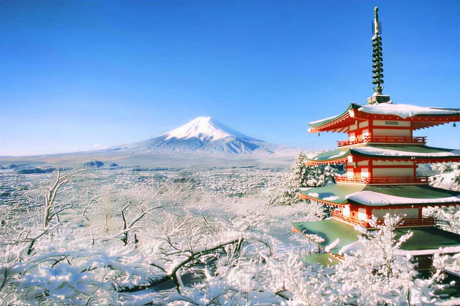 Tokyo: Mount Fuji Day Trip with Scenic & Local Stops - Niikurayama Asama Park: the hilltop Fuji payoff