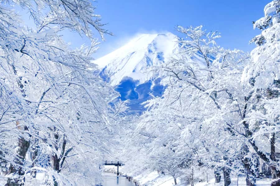 Tokyo: Mount Fuji Day Trip with Scenic & Local Stops - Hikawa Clock Shop: the retro streetscape shot
