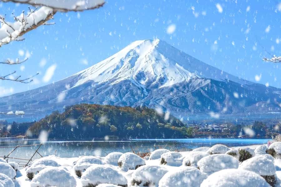 Tokyo: Mount Fuji Day Trip with Scenic & Local Stops - Oshino Hakkai: UNESCO-listed spring village calm