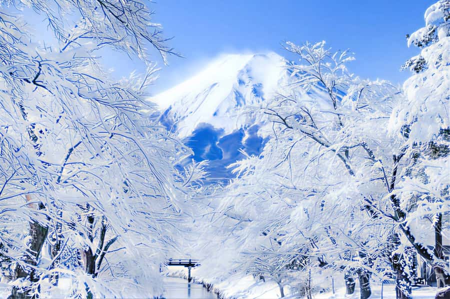 Tokyo: Mount Fuji Day Trip with Scenic & Local Stops - Lake Kawaguchi: Fuji reflections and the classic wide-angle view