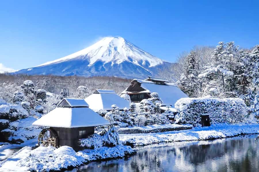Tokyo: Mount Fuji Day Trip with Scenic & Local Stops - Lake Yamanaka: swans, still water vibes, and a gentle ending
