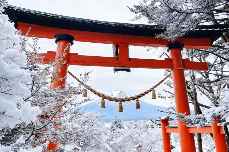 Tokyo: Mount Fuji Day Trip with Scenic & Local Stops - What you’ll actually see: the 6-stop photo plan