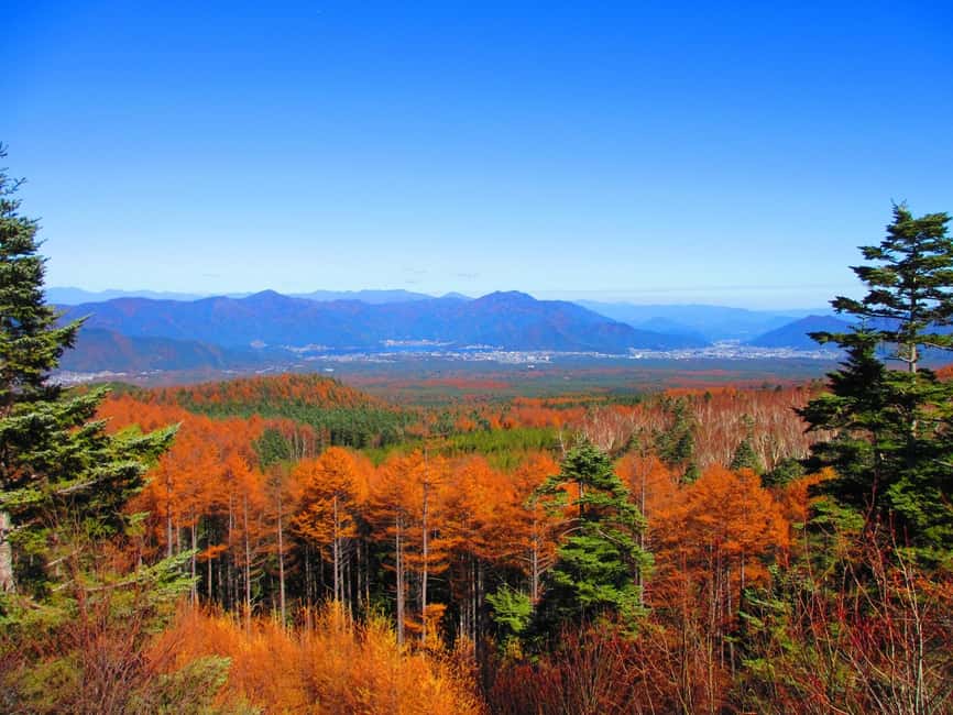 Tokyo: Mount Fuji, Gotemba & Hakone Day Trip by Luxury Bus - Gotemba Premium Outlets: Big Brand Shopping With Real Coupon Value