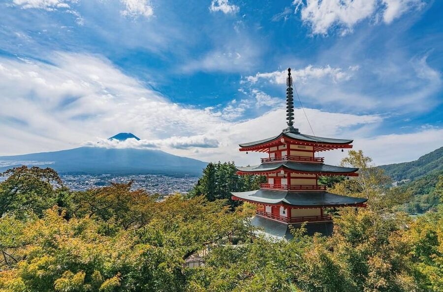 Tokyo: Mount Fuji & Hakone Private Customized Full Day Tour - Price and Value: Is $484 a Smart Deal for You?