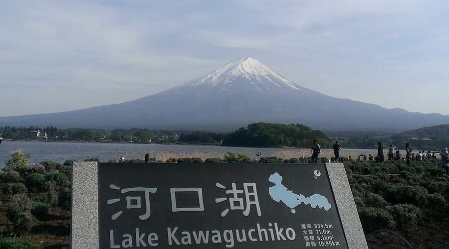 Tokyo: Mount Fuji & Hakone Private Customized Full Day Tour - Chureito Pagoda and Arakurayama Sengen Park, The First Fuji Frame