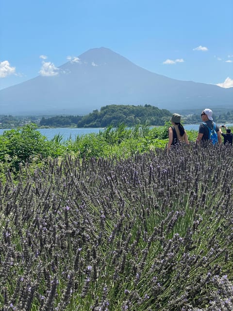 Tokyo: Mount fuji & Hakone Private Day Tour - Price and value: $319 per group, and what’s not included