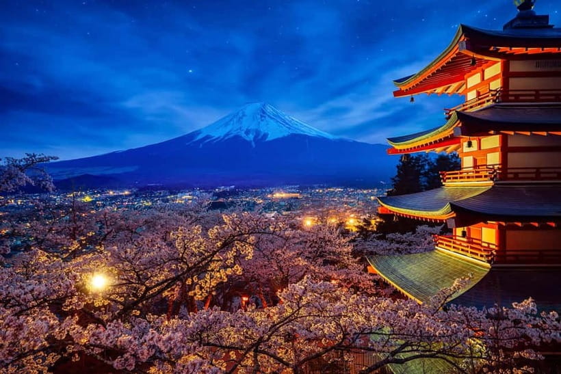 Tokyo: Mount Fuji & Hakone Private Tour with Guide - Lunch plus downtime: the 45-minute buffer you should use well