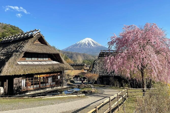 Tokyo: Mount Fuji Must-see Attractions One Day Sightseeing Tour - Leaving Tokyo smoothly, then letting the day run on rails