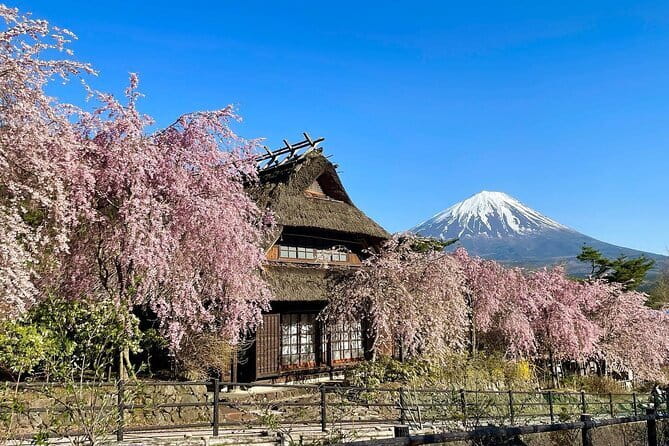 Tokyo: Mount Fuji Must-see Attractions One Day Sightseeing Tour - The honest timing reality: you will move, and some stops are short