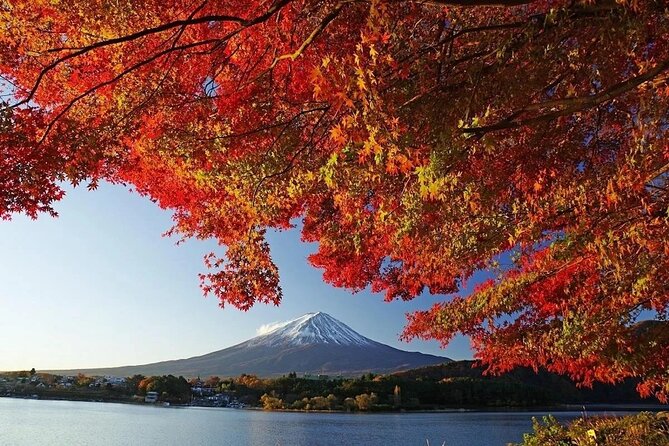 Tokyo: Mount Fuji One Day Trip Lake Kawaguchi & Lake Yamanaka - Key highlights worth your attention
